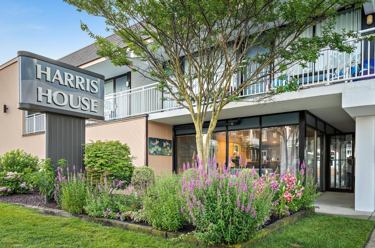 Harris House By The Beach Motel Ocean City Exterior photo