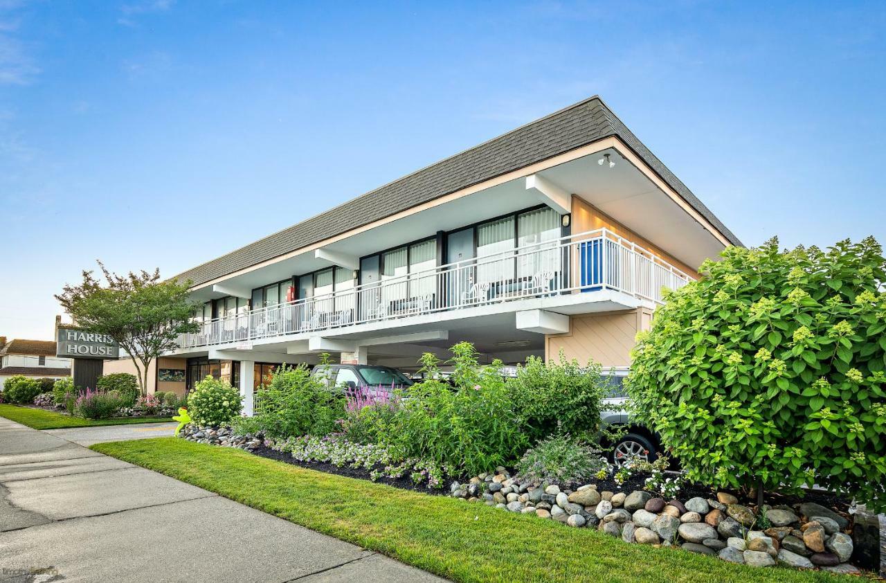 Harris House By The Beach Motel Ocean City Exterior photo