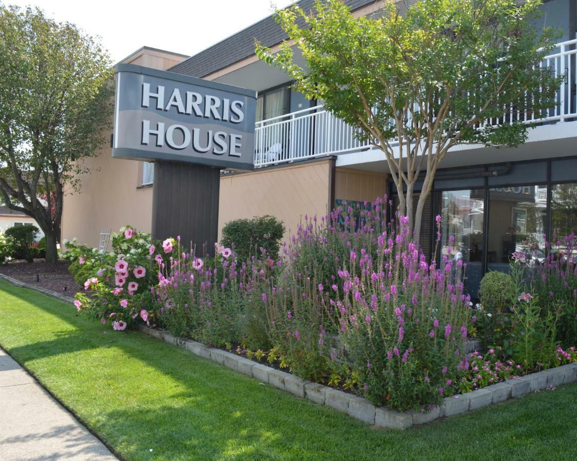 Harris House By The Beach Motel Ocean City Exterior photo