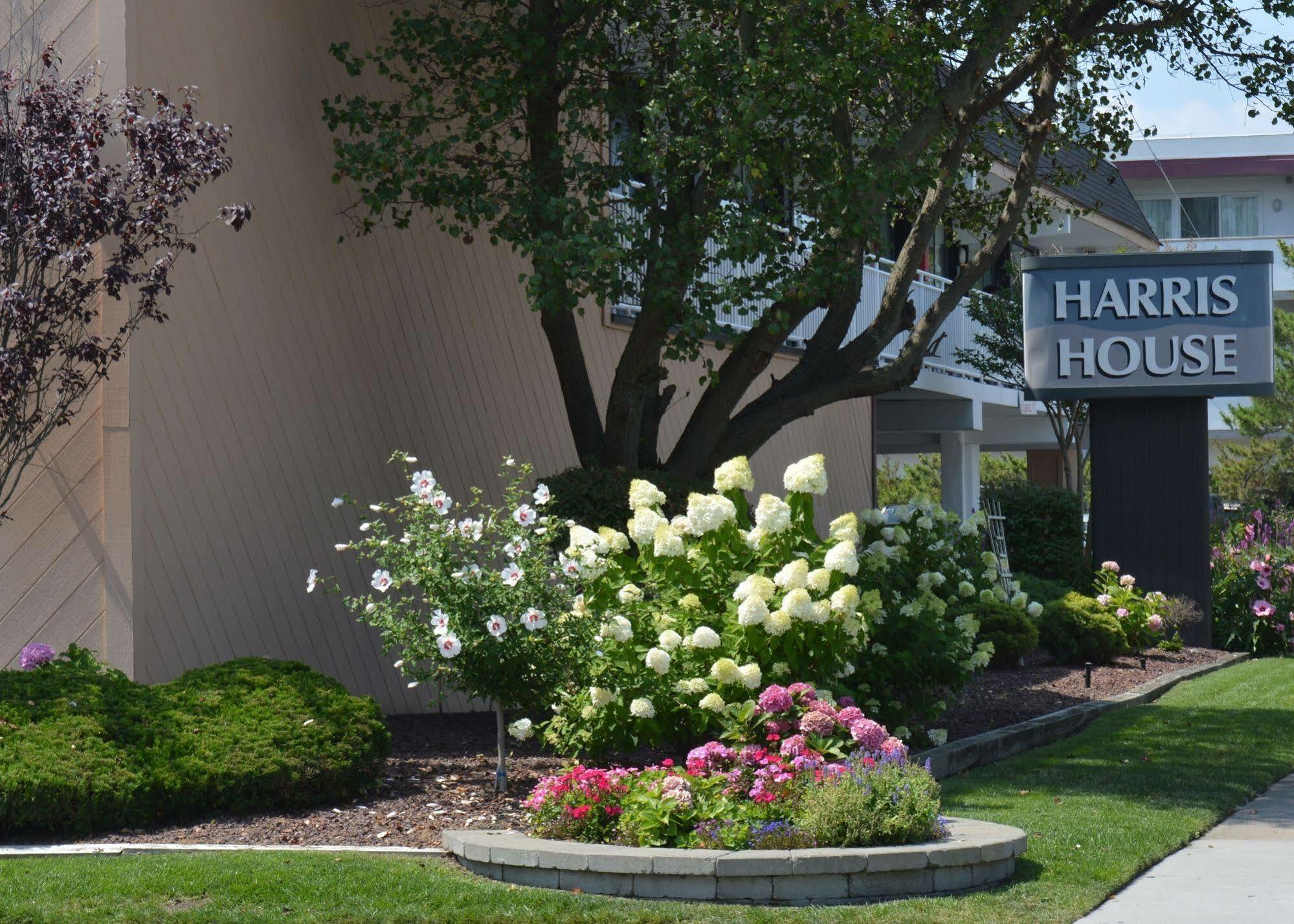 Harris House By The Beach Motel Ocean City Exterior photo